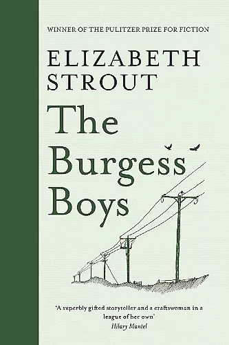 The Burgess Boys cover