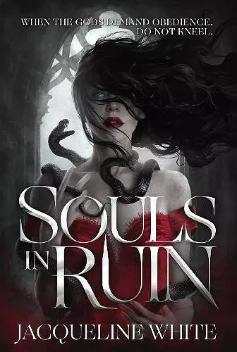 Souls In Ruin cover