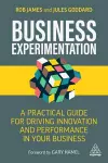 Business Experimentation cover