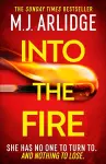 Into the Fire cover