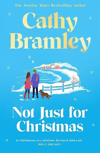 Not Just for Christmas cover