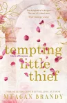 Tempting Little Thief cover
