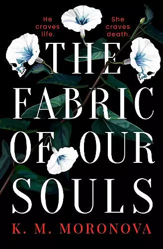 The Fabric of Our Souls cover