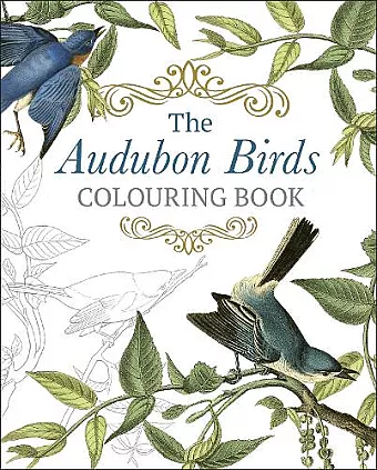 The Audubon Birds Colouring Book cover