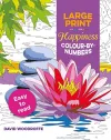 Large Print Happiness Colour by Numbers cover