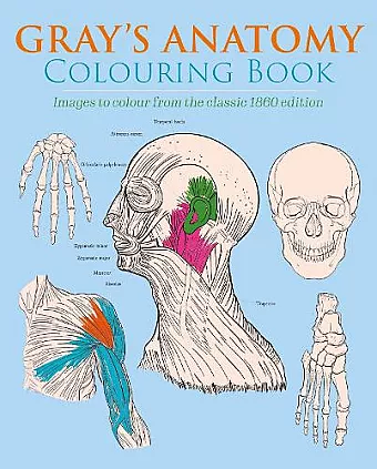Gray's Anatomy Colouring Book cover
