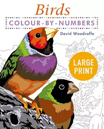 Large Print Colour by Numbers Birds cover