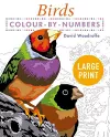 Large Print Colour by Numbers Birds cover