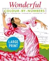Wonderful Colour by Numbers Large Print cover