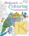 Birdsearch with Colouring cover