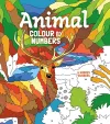 Animal Colour by Numbers cover