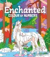 Enchanted Colour by Numbers cover