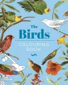 The Birds Colouring Book cover