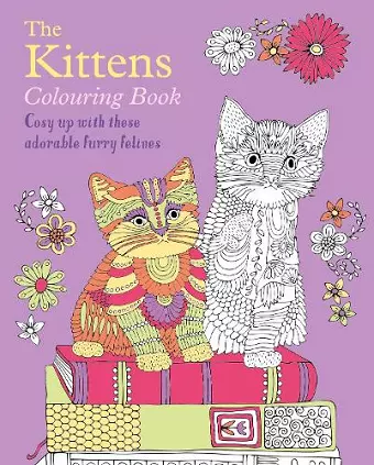 The Kittens Colouring Book cover