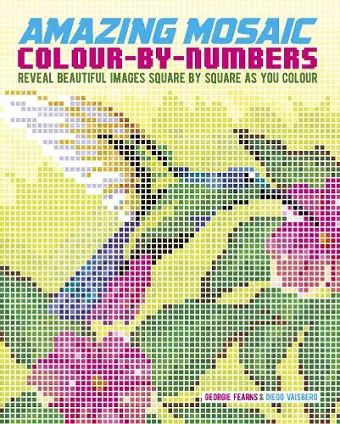 Amazing Mosaic Colour-By-Numbers cover