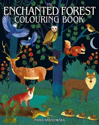 The Enchanted Forest Colouring Book cover