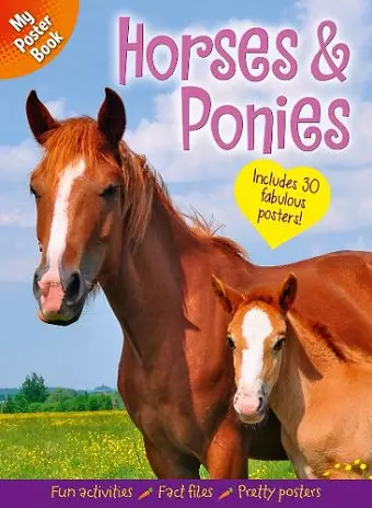 My Poster Book: Horses & Ponies cover