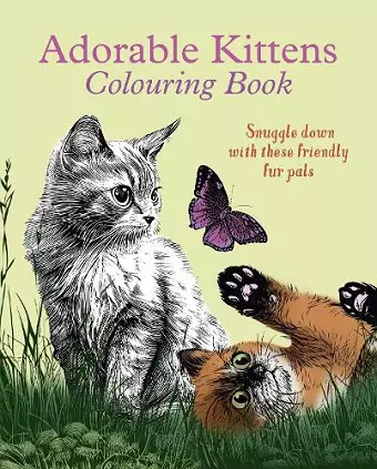 Adorable Kittens Colouring Book cover