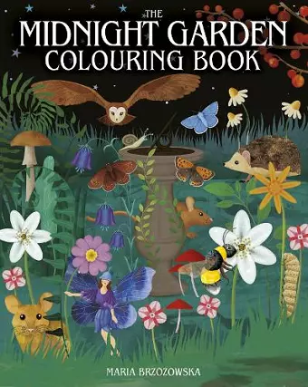 The Midnight Garden Colouring Book cover