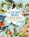 Audubon Birds Colouring Kit cover