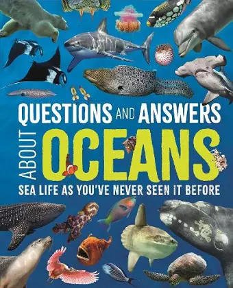 Questions and Answers About Oceans cover