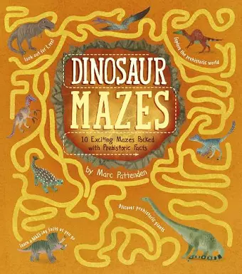 Dinosaur Mazes cover