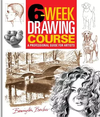 6-Week Drawing Course cover