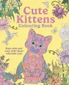 Cute Kittens Colouring Book cover