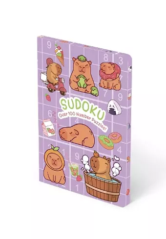 Sudoku cover