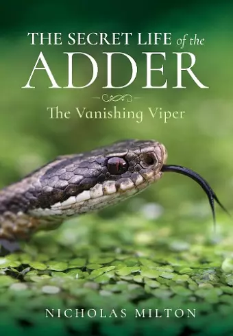 The Secret Life of the Adder cover