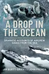 A Drop in the Ocean cover