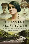 Testament of Lost Youth cover