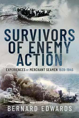 Survivors of Enemy Action cover