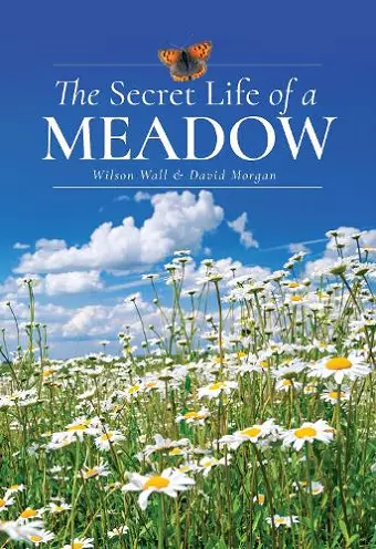 The Secret Life of a Meadow cover