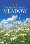 The Secret Life of a Meadow cover