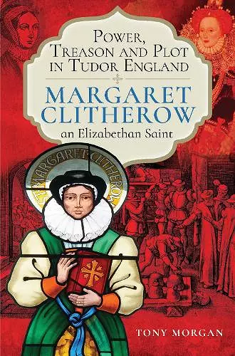 Power, Treason and Plot in Tudor England cover