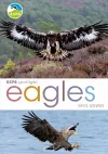 RSPB Spotlight: Eagles cover