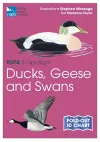 RSPB ID Spotlight - Ducks, Geese and Swans cover