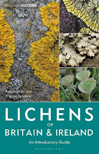 Lichens of Britain and Ireland cover