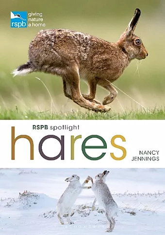 RSPB Spotlight Hares cover
