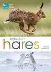 RSPB Spotlight Hares cover