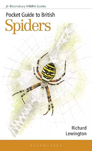 Pocket Guide to British Spiders cover