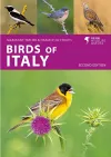 Birds of Italy cover