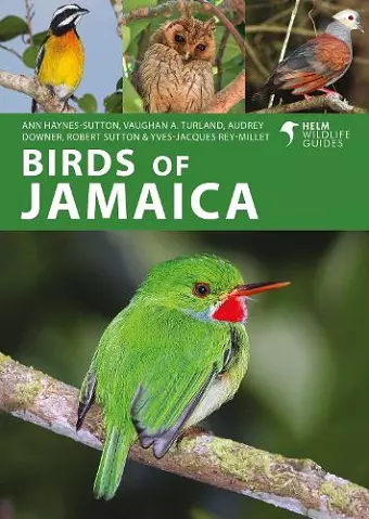 Birds of Jamaica cover