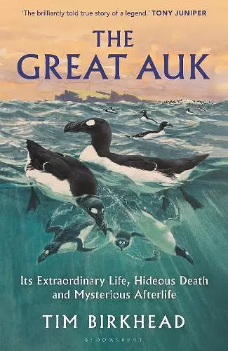 The Great Auk cover