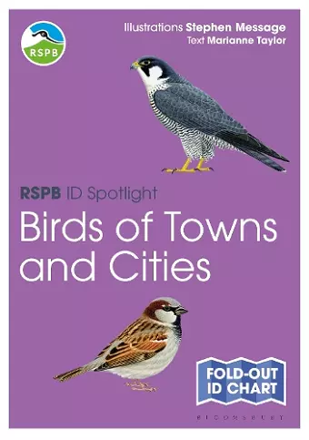 RSPB ID Spotlight - Birds of Towns and Cities cover