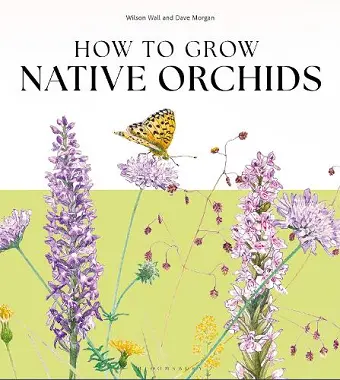How to Grow Native Orchids cover