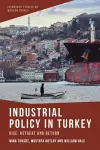 Industrial Policy in Turkey cover