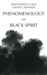 Phenomenology of Black Spirit cover