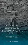 Slavery and Rebellion in Second Century Bc Sicily cover